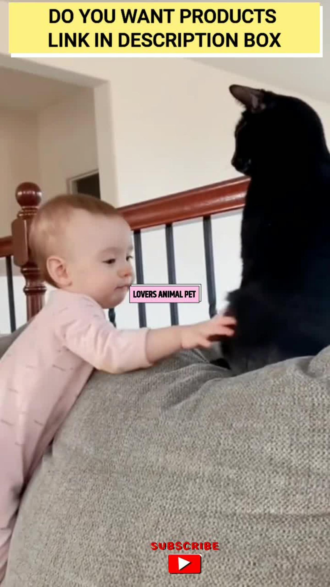 Funny Cat 🧚Cute Baby Magic Love