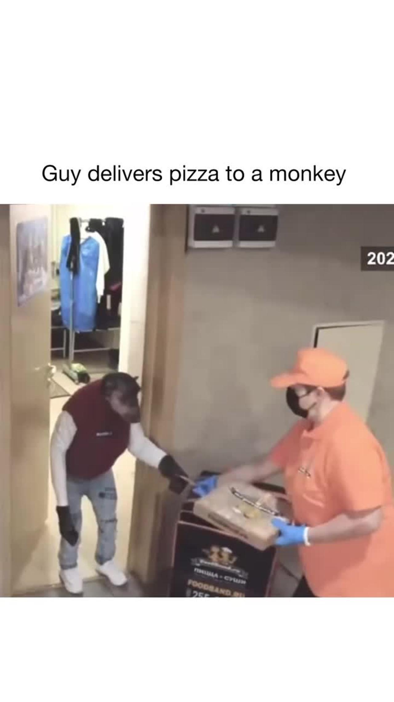 Guy delivers pizza to a monkey 🙊