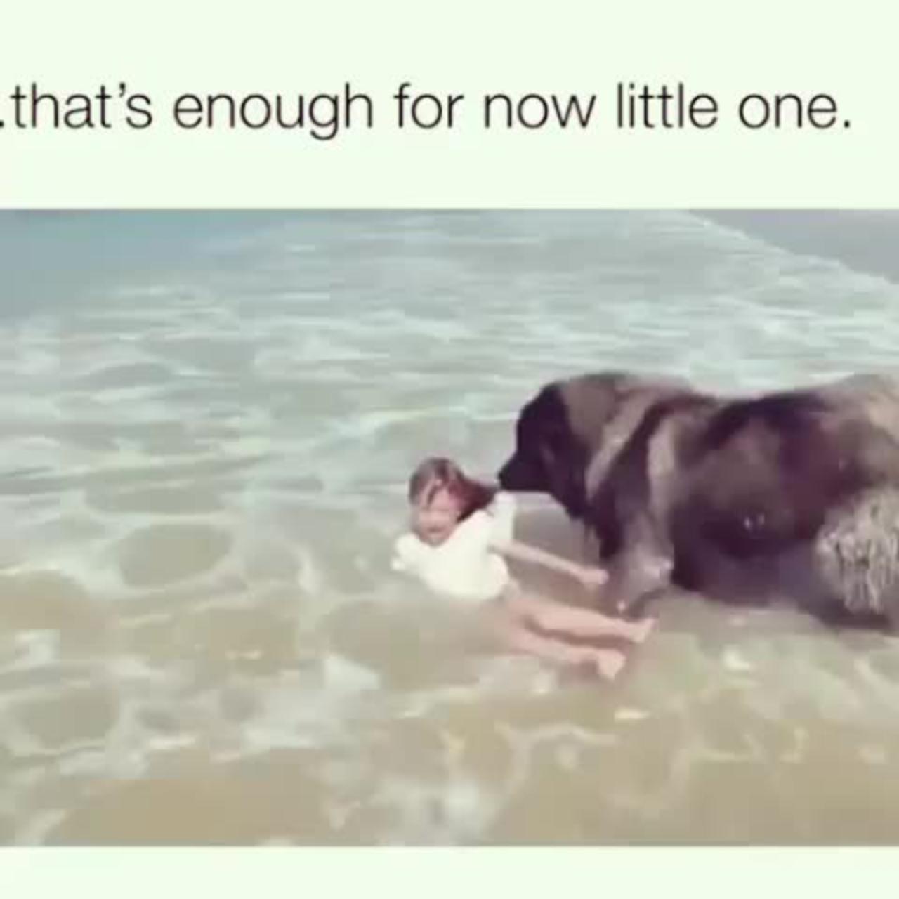 Dog saves girl from drowning 😧🐶