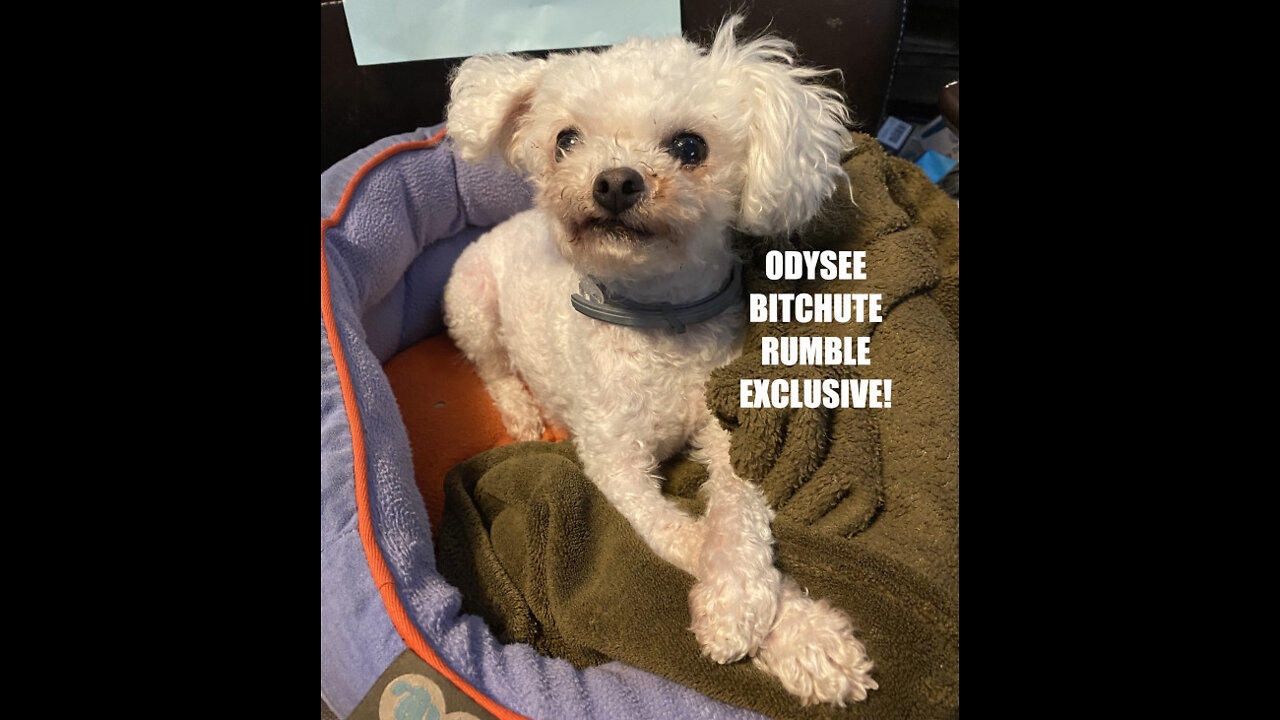 Rumble/Odysee/Bitchute Exclusive Hot Take: Jan 31st 2022 News Blast!