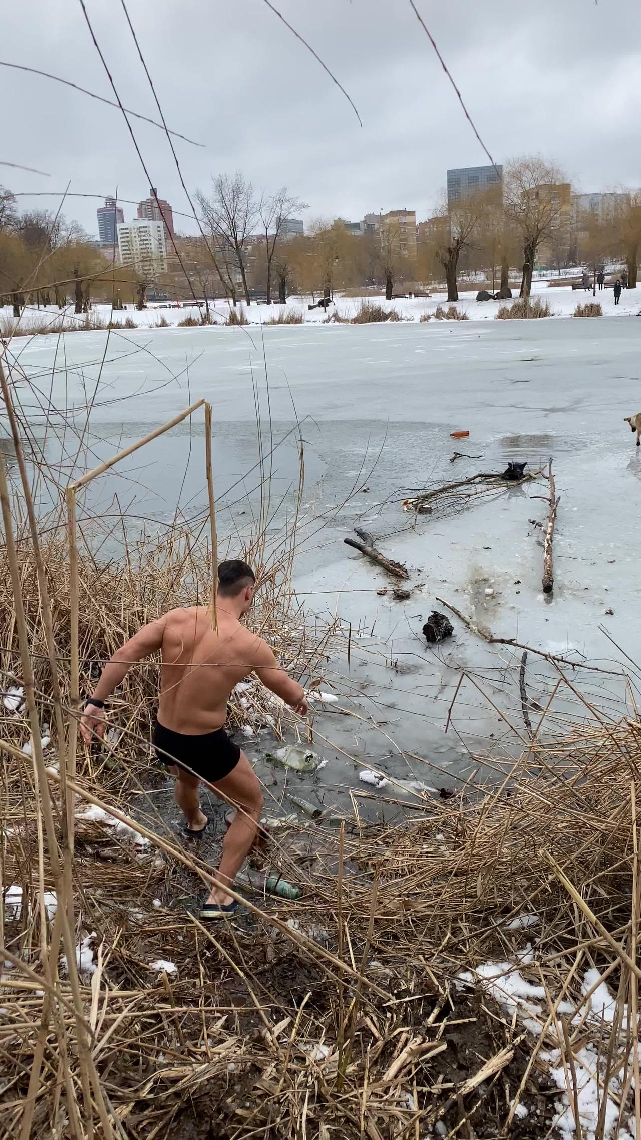 Brave Bystander Rescues Dog From Frozen River - One News Page VIDEO