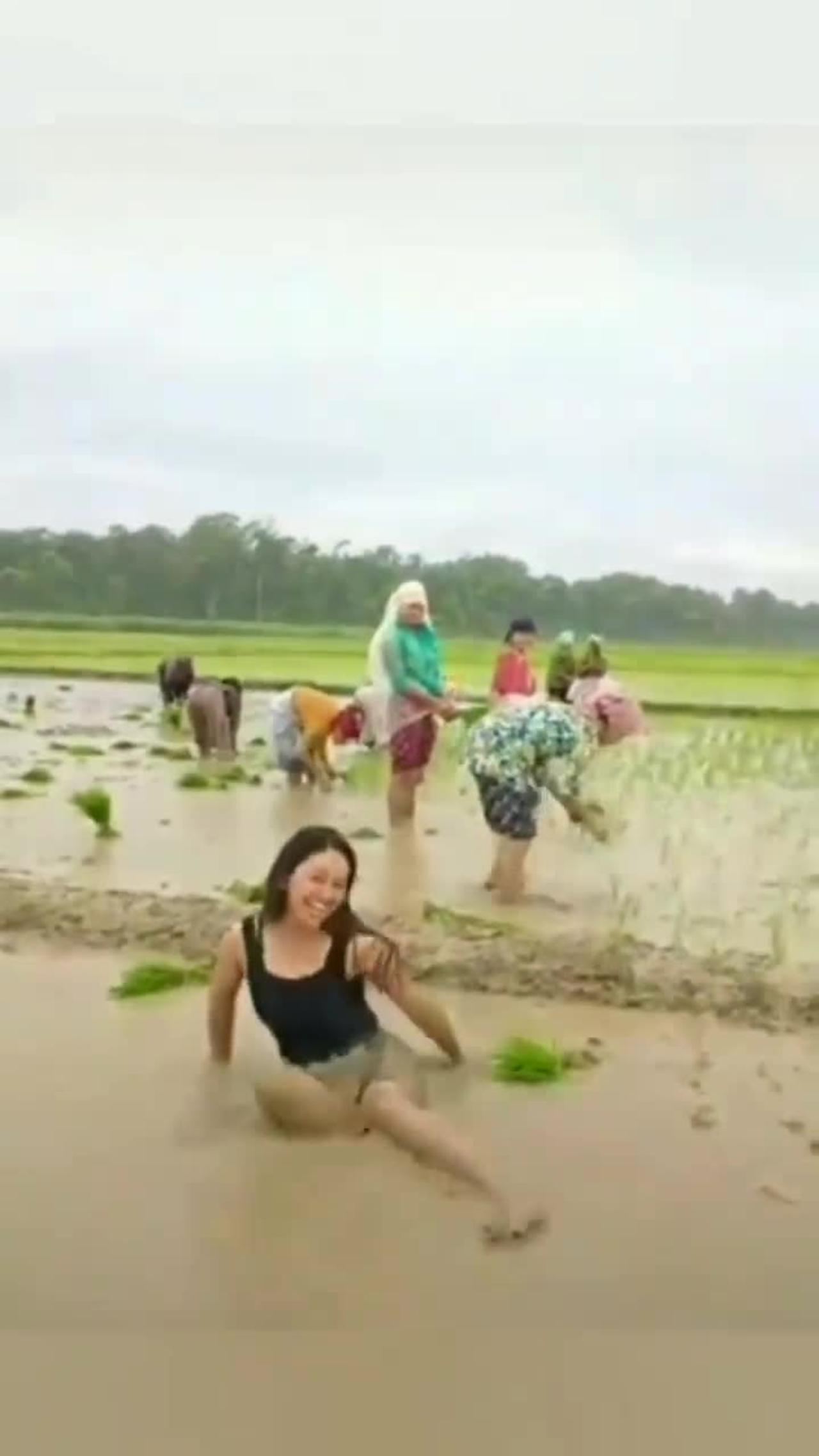 cute baby girl dancing in field of rice