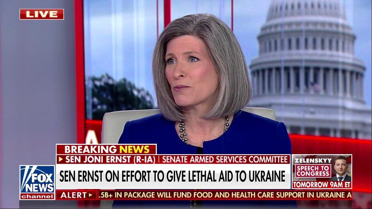 Sen. Ernst: 'Imperative' for US to give lethal aid to Ukraine