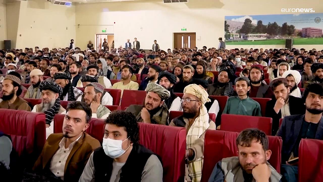 Taliban bans opium as Afghanistan's poppy harvest begins