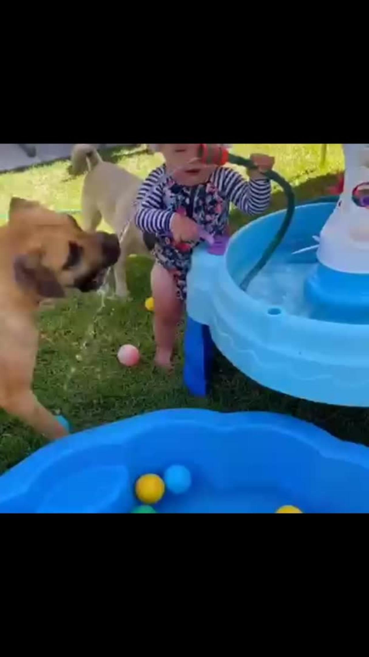 Cute baby and dog 🐕 both water 💧 playing very funny 😄 video clips