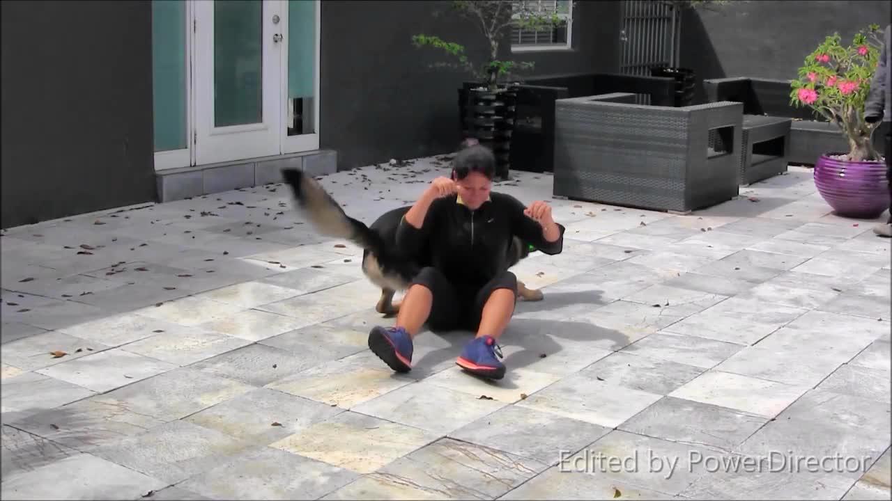 Guard Dog Training - Step by Step