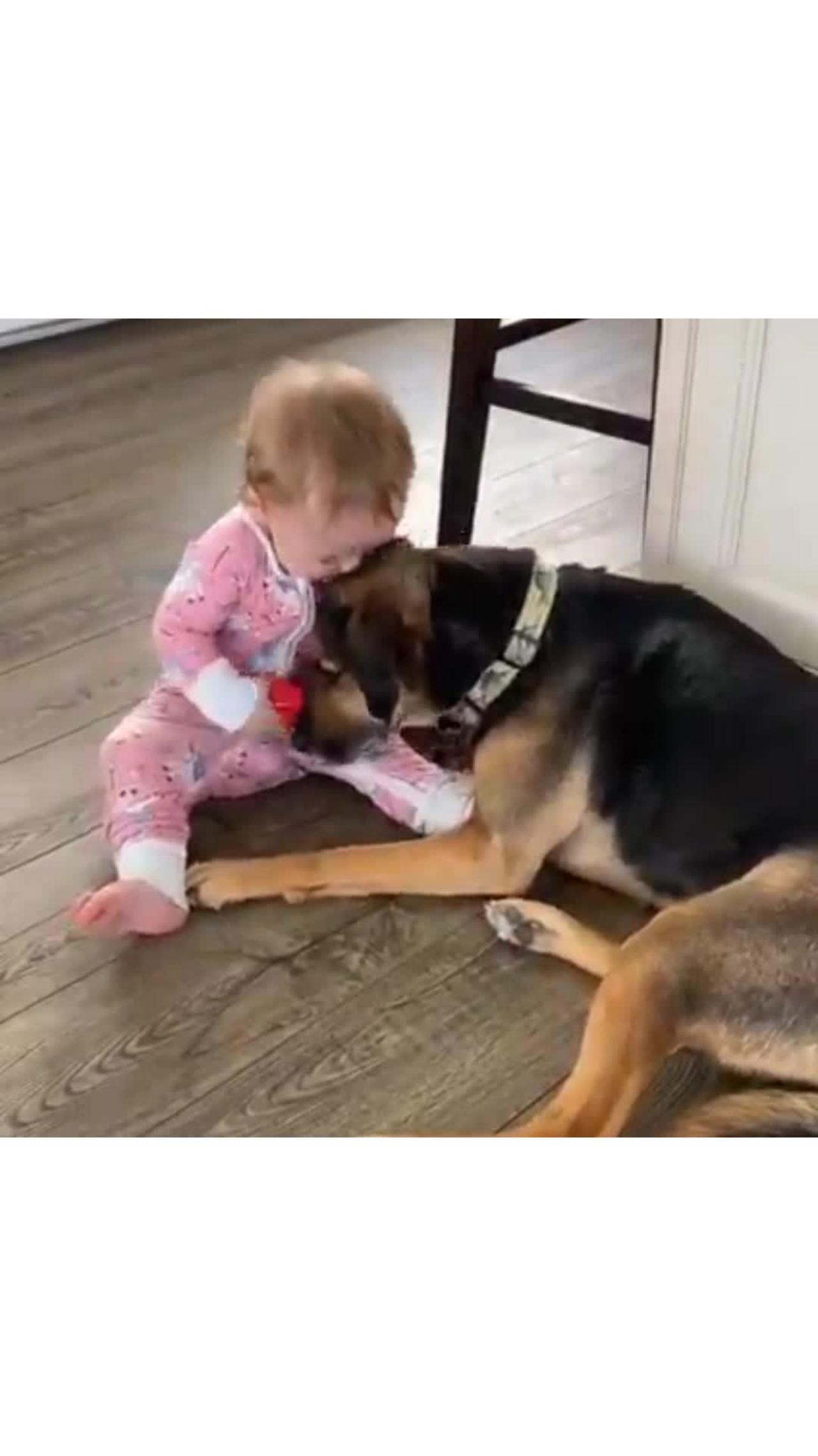 Cute baby and dog 🐕 both playing very funny 😄 video clips