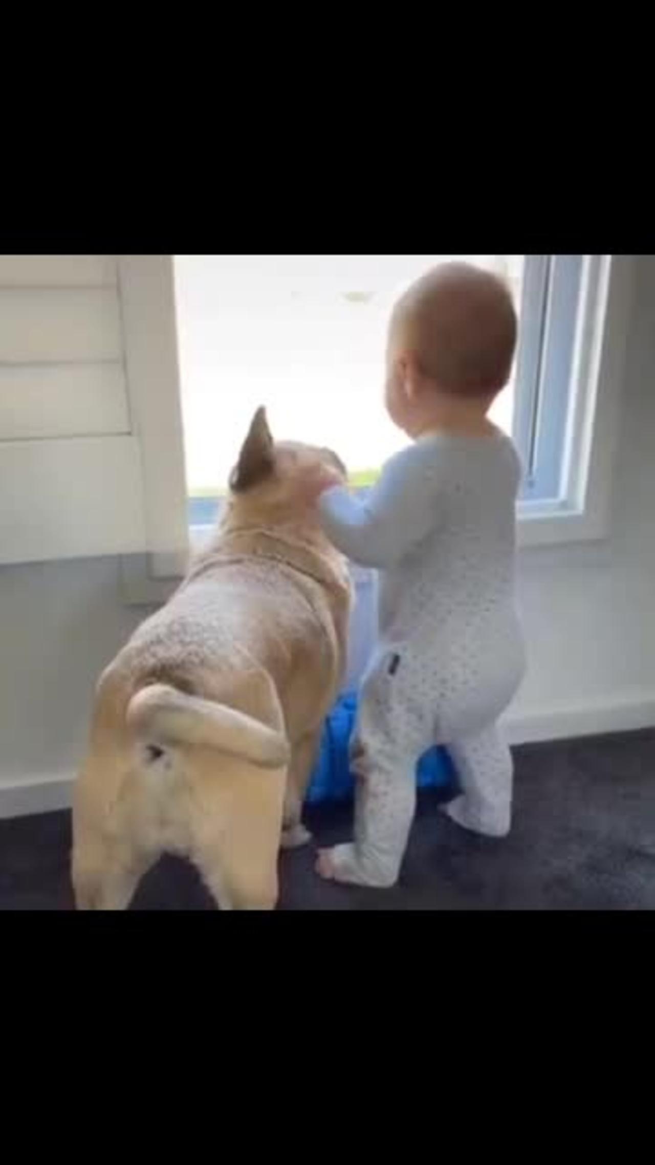 Cute baby👶 and dog 🐕 both  playing very funny 😄 video clips