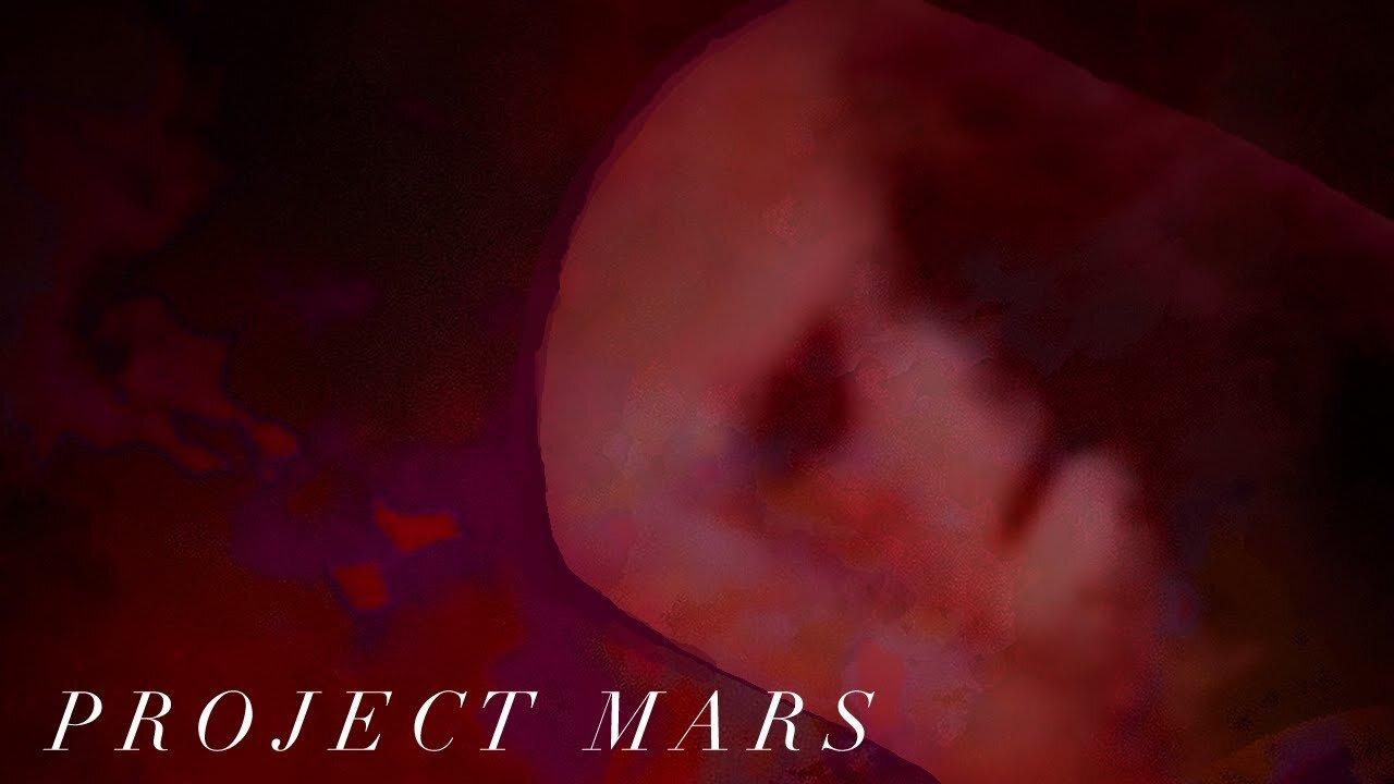 In Plain Sight: The Mars Mysteries: 03 Project Mars | Gigi Young