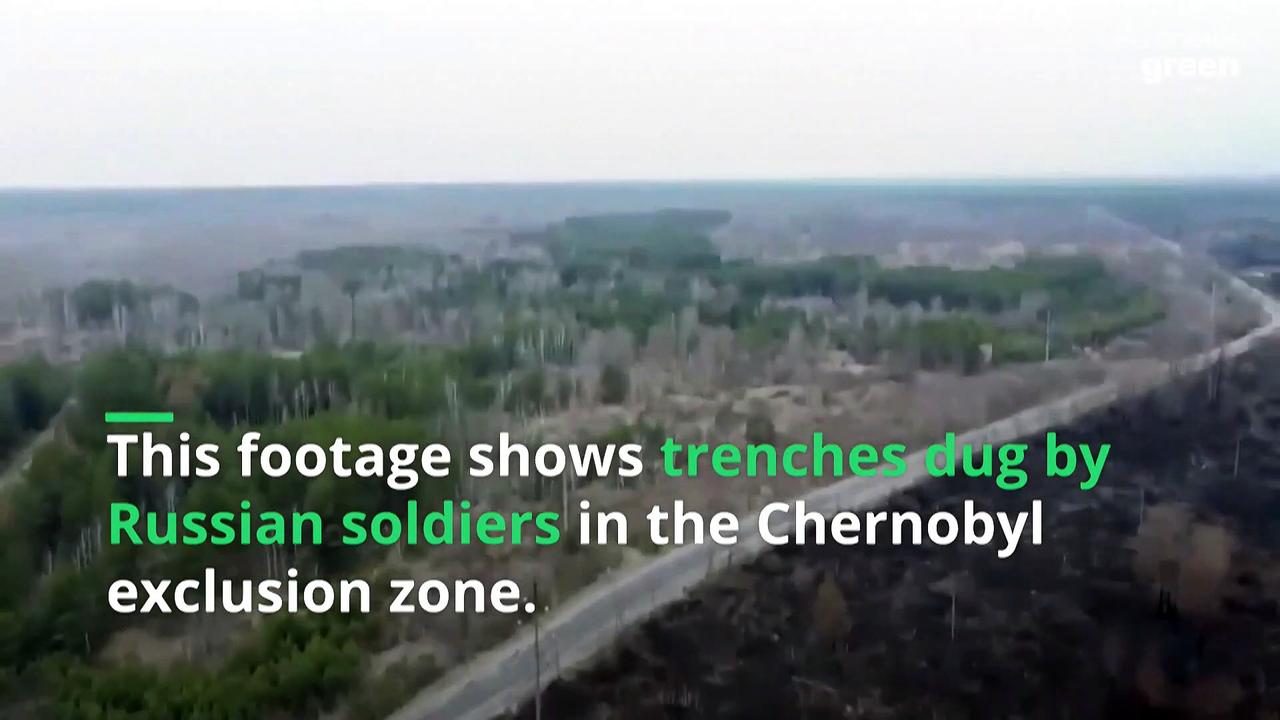 Chernobyl: Why did the nuclear zone's red forest defeat these Russian troops?