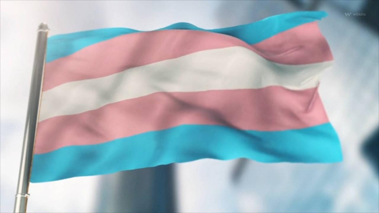 Alabama House Passes Legislation Making Gender-Affirming Medical Care for Minors a Felony
