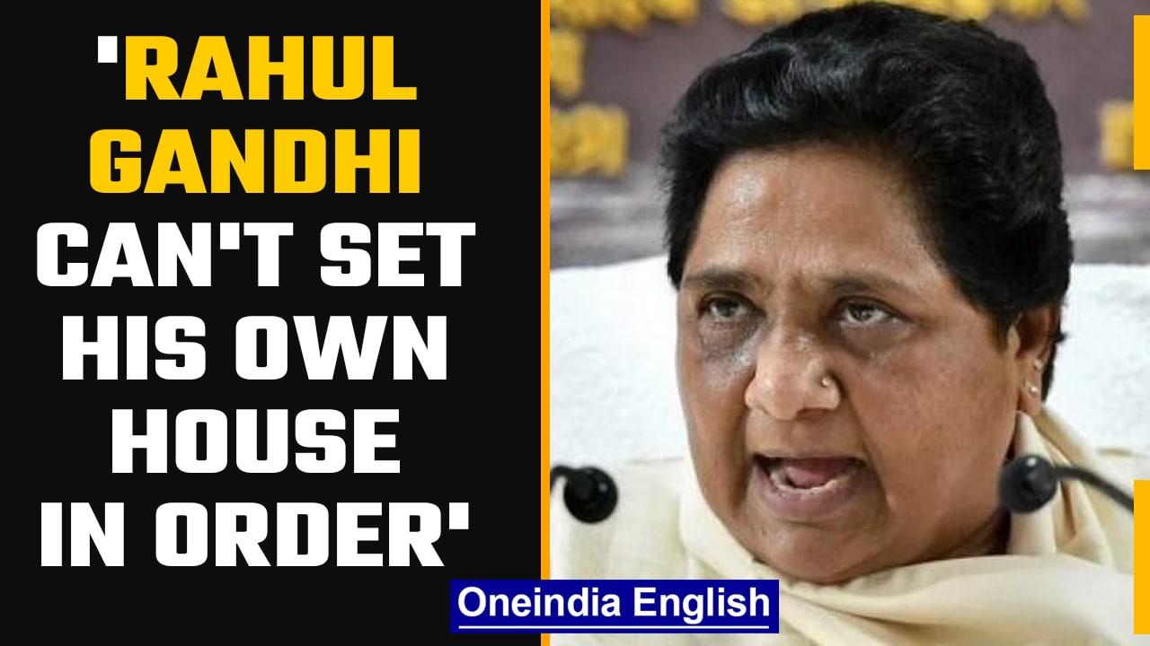 Mayawati on Rahul Gandhi's UP offer comment, says Congress should worry about itself | Oneindia News