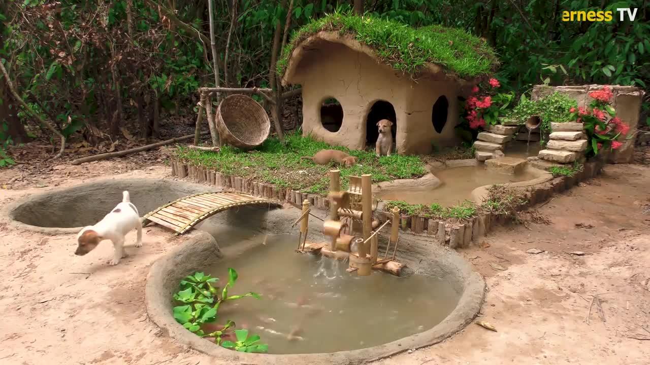 Rescue Abandoned Puppies Building Mud House Dog And Fish  Pond For Red Fish