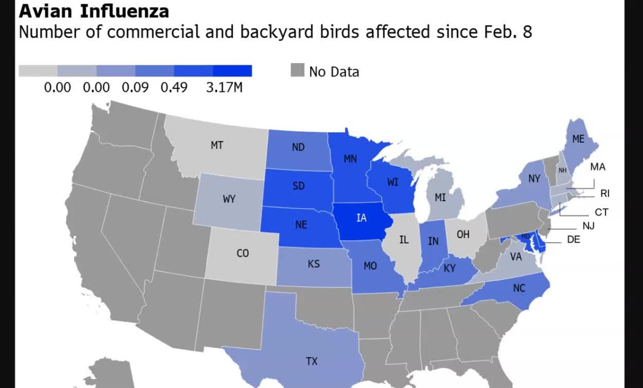 Bird Flu Spreads in US; Human Cases Reported in China