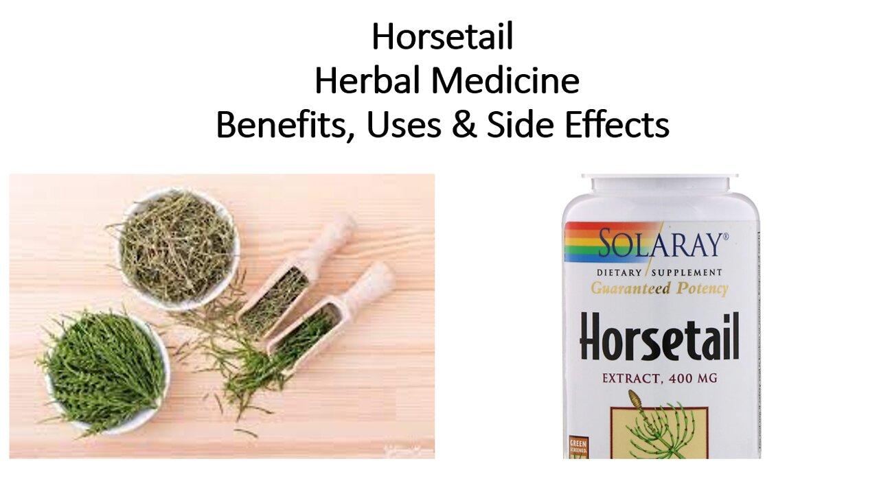Horsetail   Herbal Medicine   Benefits, Uses & Side Effects