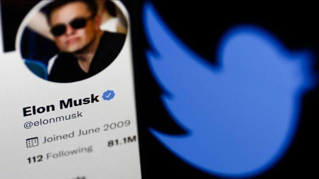 Why Elon Musk Became Twitter's largest share holder