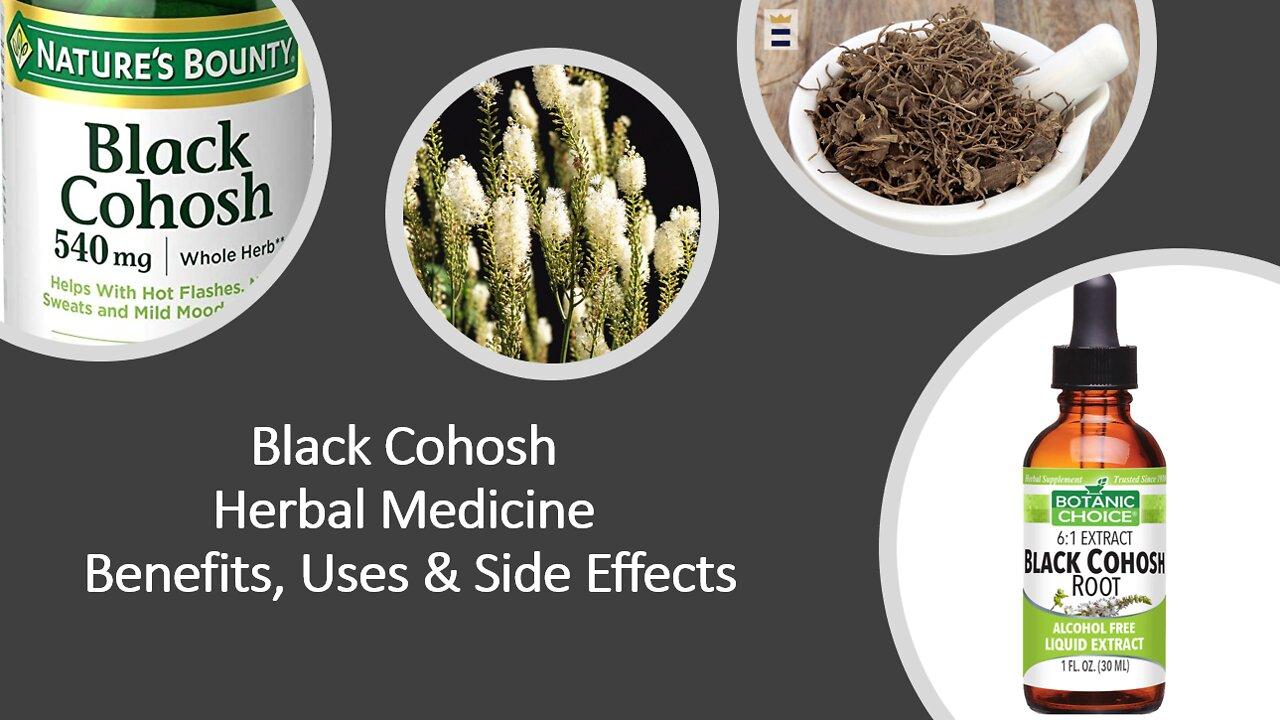 Black Cohosh - Herbal Medicine - Benefits, Uses & Side Effects