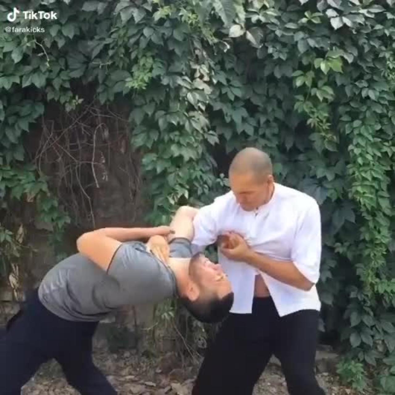 Martial Arts Hapkido Technique