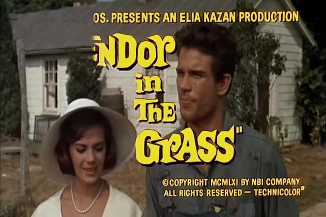 Splendor in the Grass // 1961 American period drama film trailer