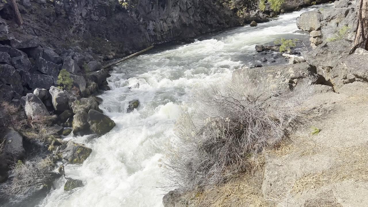 Exploring Dillon Falls Lookout Area – Deschutes River – Central Oregon – 4K