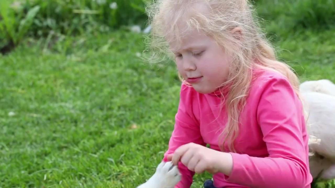 Beautiful little girl playing with a puppy in nature