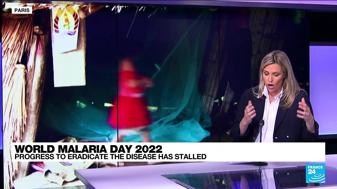 World Malaria Day 2022: Progress to eradicate the disease has stalled
