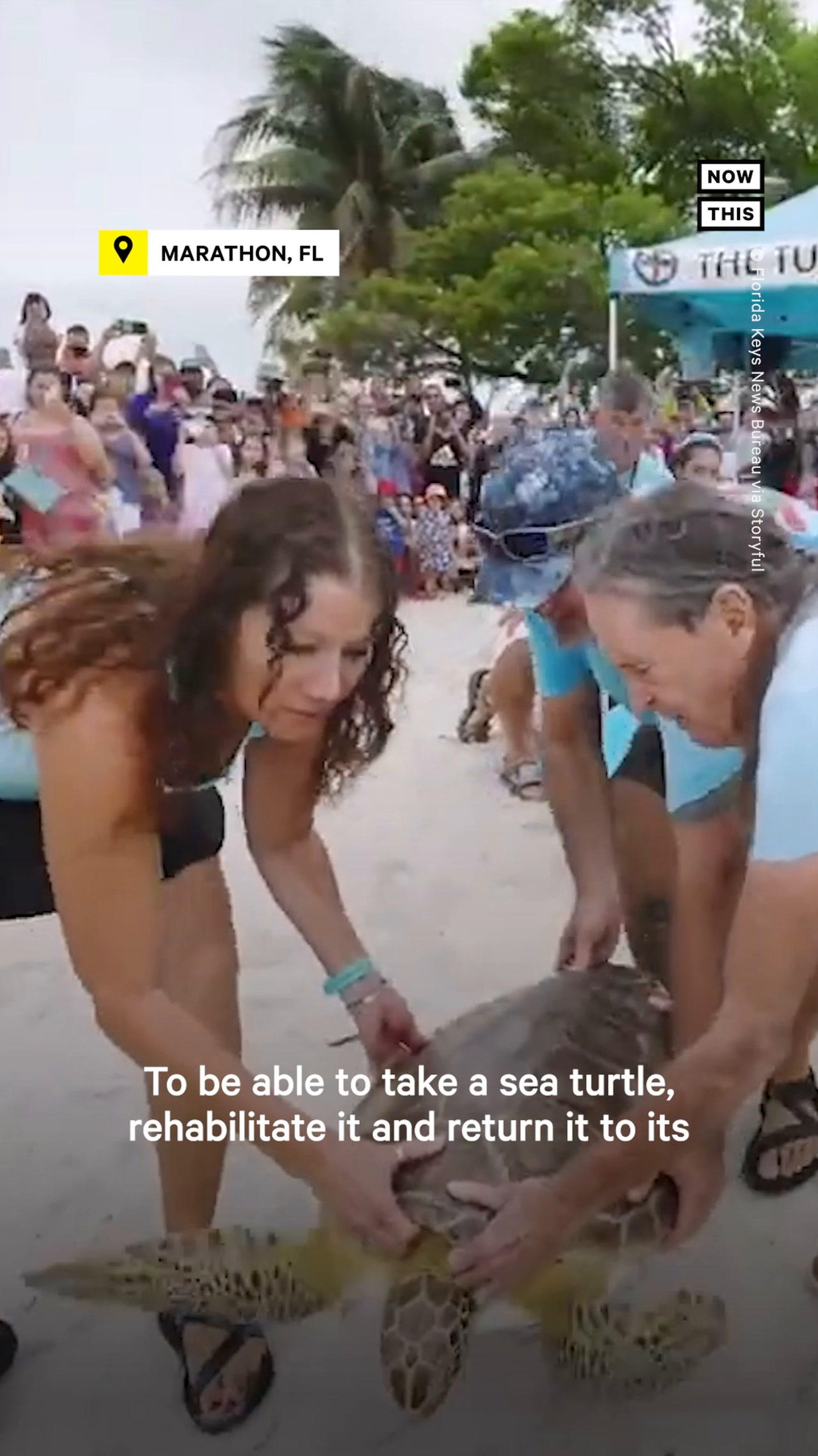 Rehabilitated Sea Turtle Released Back to Ocean on Earth Day