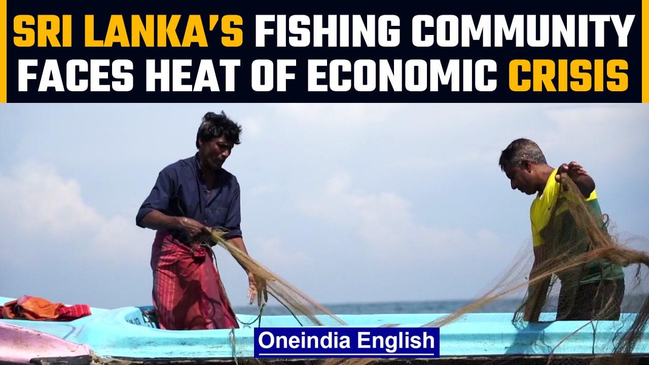 Sri Lanka economic crisis: Fishing community hit hard due to crisis |Oneindia News
