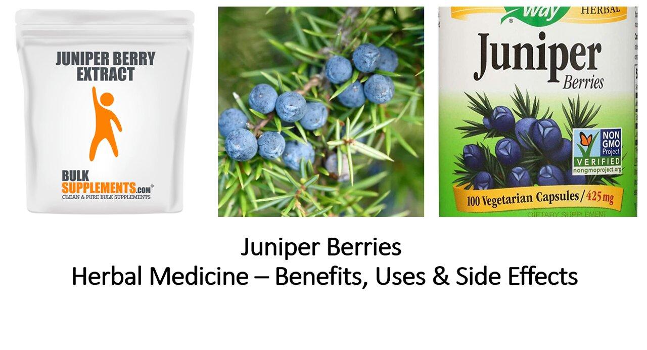 Juniper -  Herbal Medicine - Benefits, Uses & Side Effects