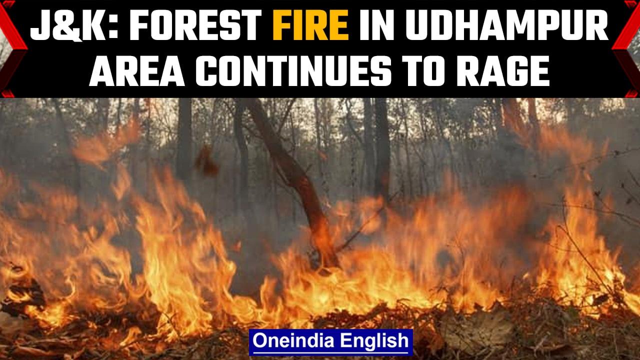 Forest fire in Jammu and Kashmir's Udhampur area continues to rage | OneIndia News