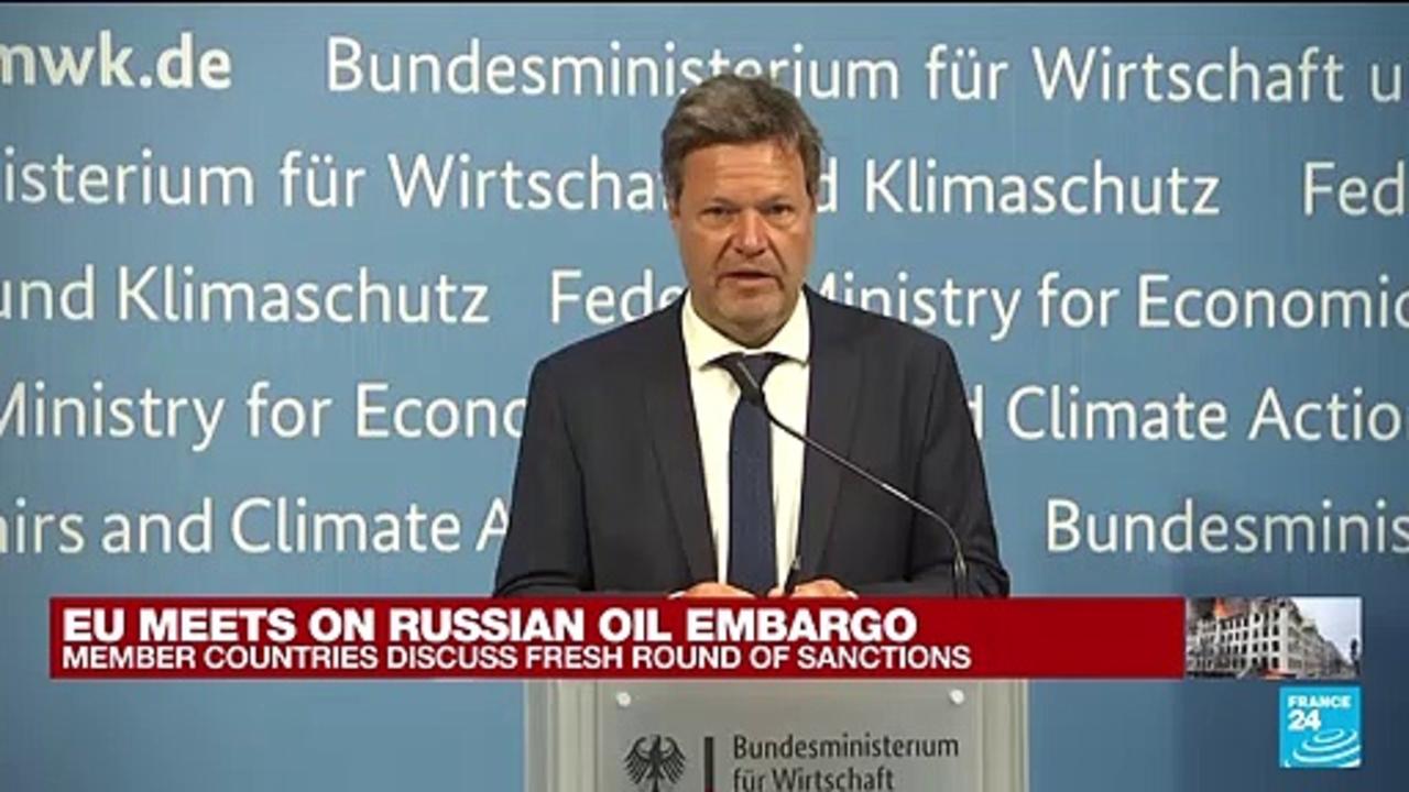 Germany says quitting Russian oil 'realistic' but gas a bigger challenge
