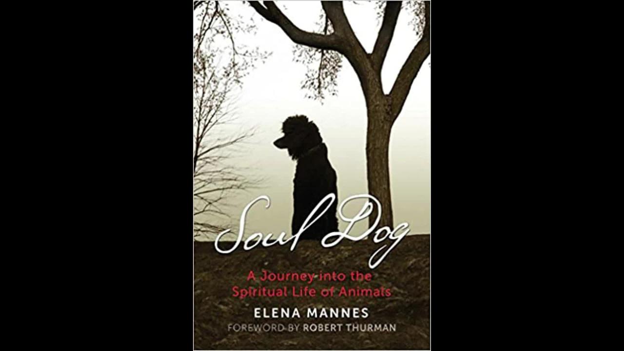 Soul Dog, Spiritual Life of Animals w/Elena Mannes, Host Dr. Zohara Hieronimus