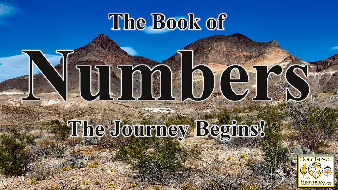 Numbers Chapters 30 & 31 Vows And War