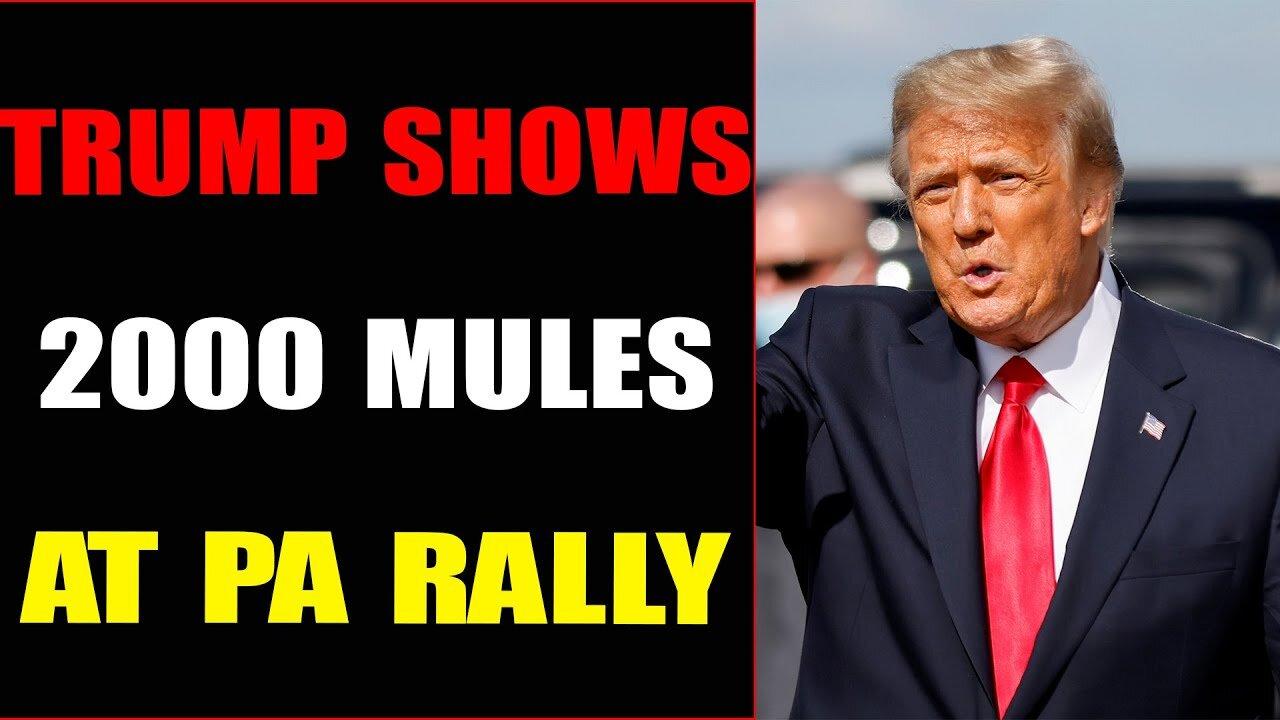 PRESIDENT TRUMP SHOWS 2000 MULES AT PENNSYLVANIA RALLY TODAY - TRUMP NEWS