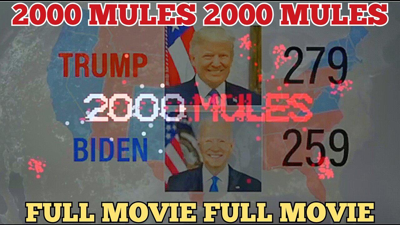 "2000 MULES" (FULL 2000 MULES MOVIE) '2000 MULES' DOCUMENTARY, "2000 MULES MOVIE"