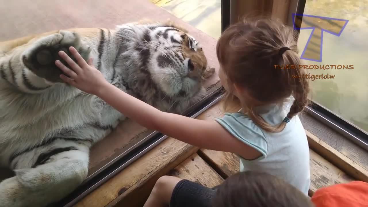 FORGET CATS! Funny KIDS vs ZOO ANIMALS are WAY FUNNIER! - TRY NOT TO LAUGH