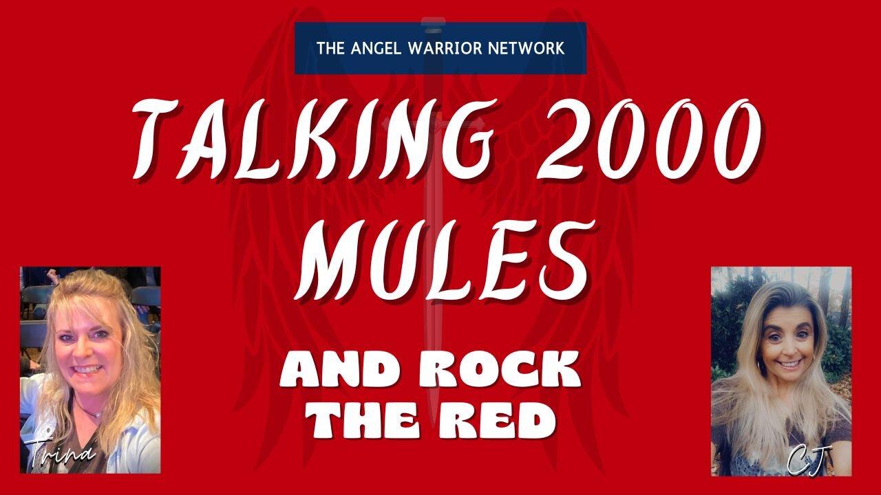 Talking 2000 Mules & Rock The Red