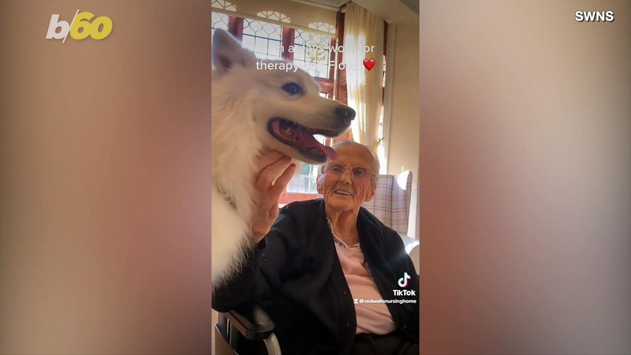 Therapy Dogs Bring Joy To Nursing Home Residents