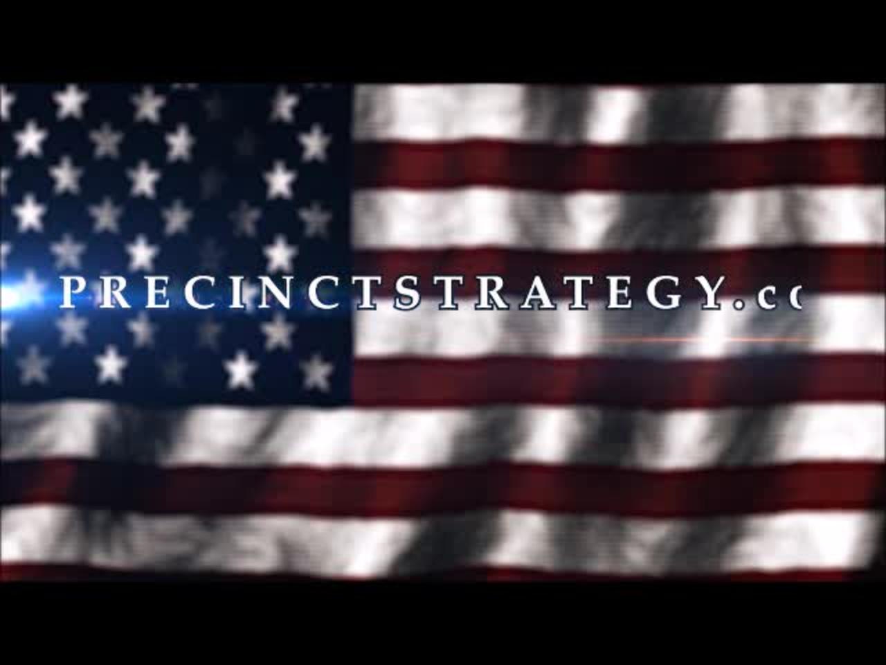 Precinct Strategy & Election Integrity talk by Dan Schultz May 10, 2022