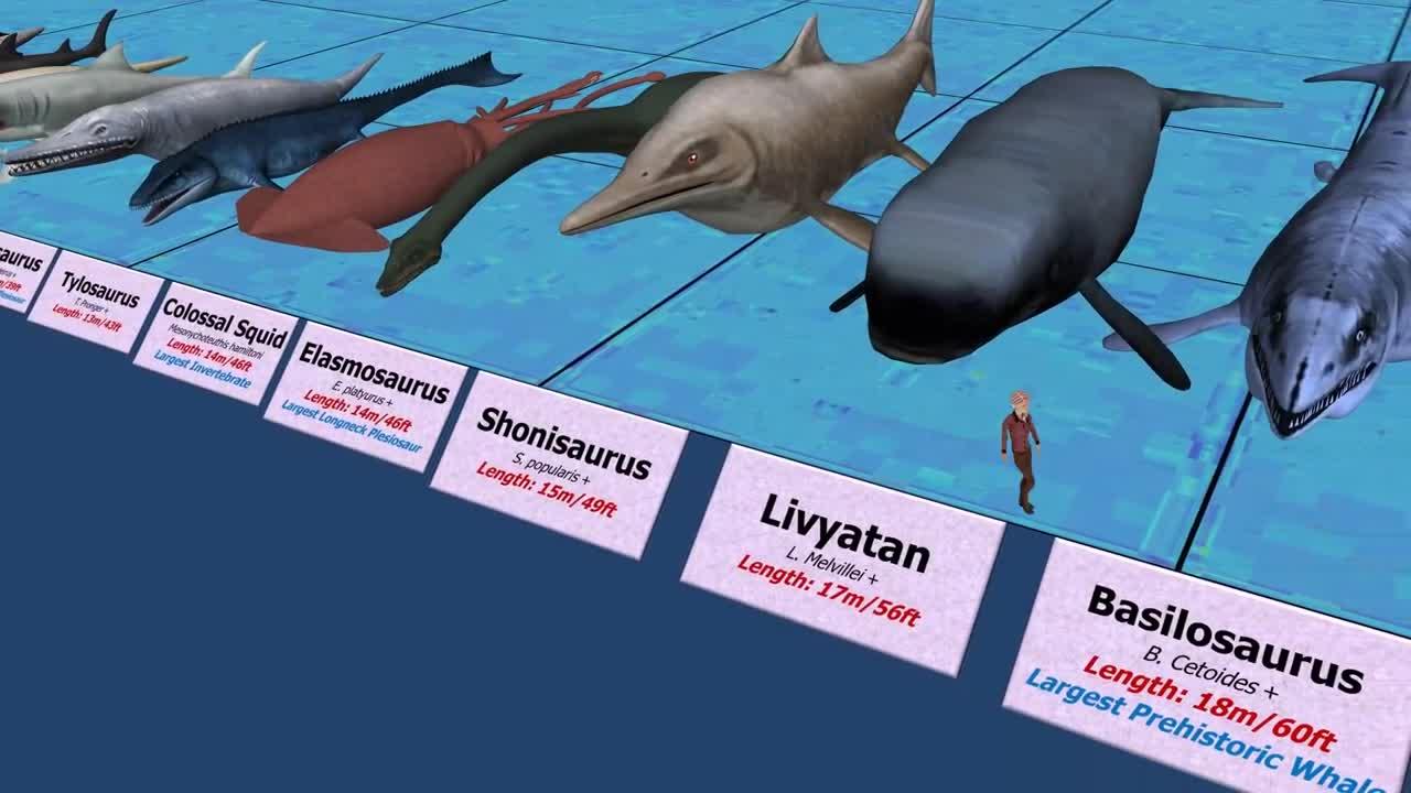 Sea Monsters Size Comparison - One News Page VIDEO