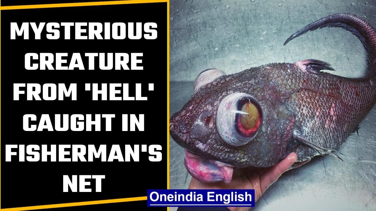 Bizarre fish with yellow protruding eyes caught by a Russian fisherman | OneIndia News