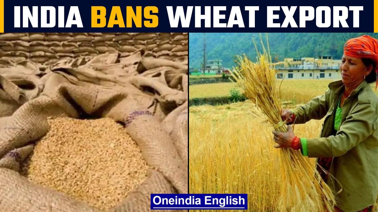 India prohibits wheat export with immediate effect, cites food security risk | Oneindia News
