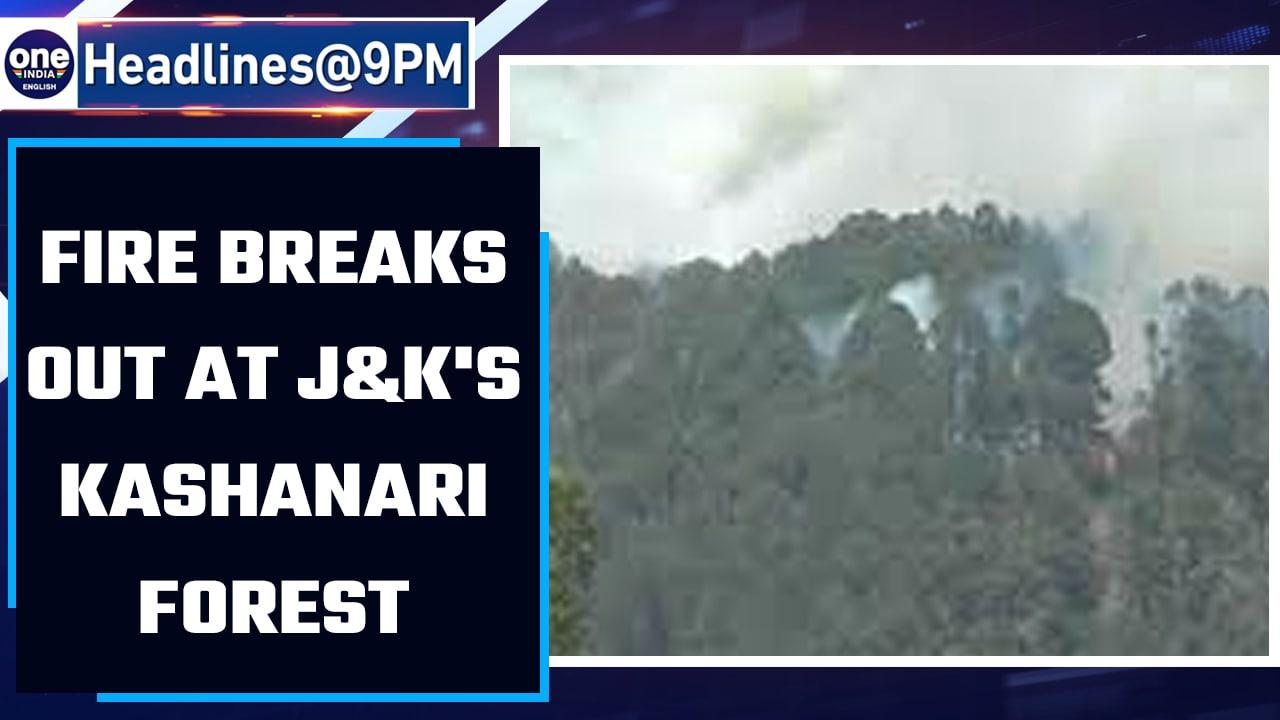 Fire breaks out in J&K's Kashanari forest, efforts to douse it underway | OneIndia News