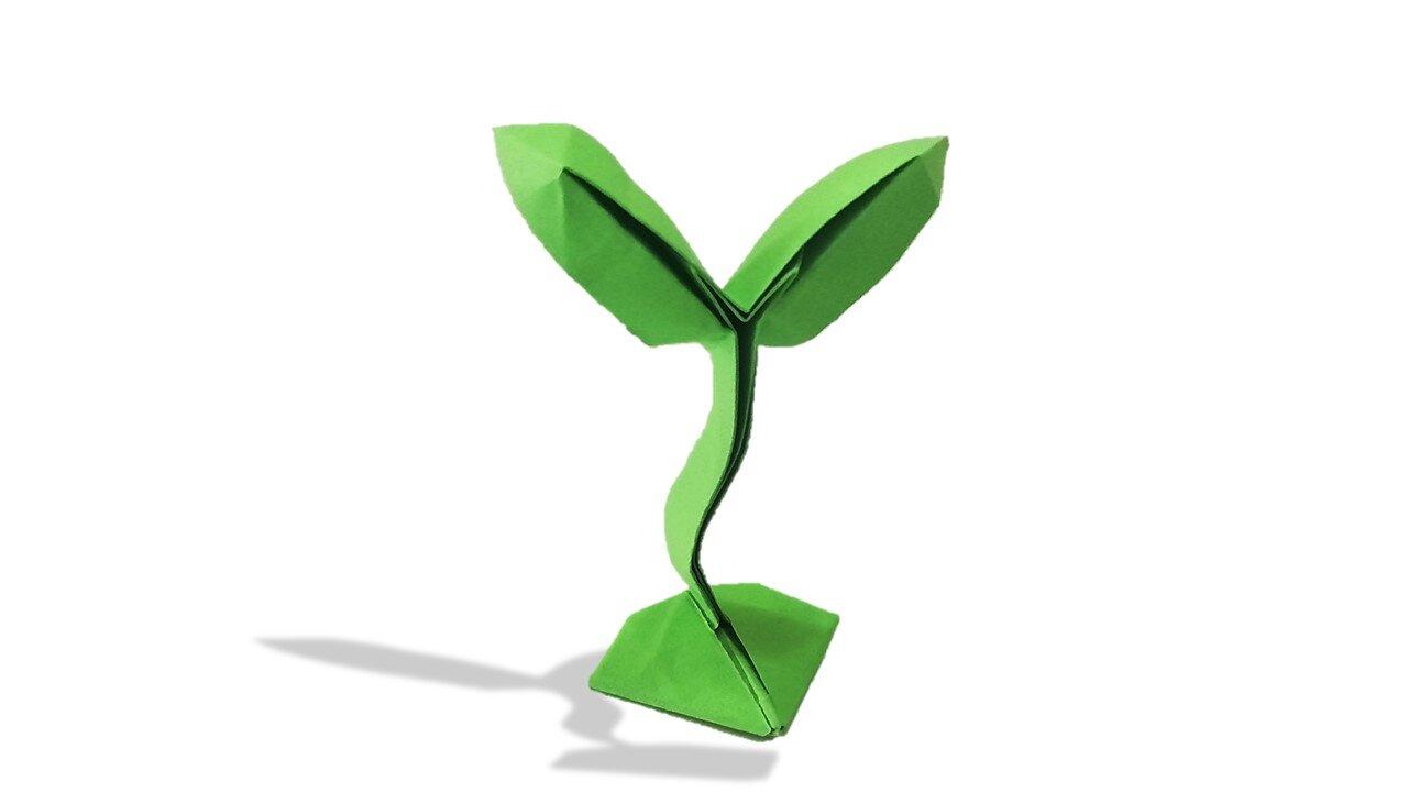 Origami Sprout
