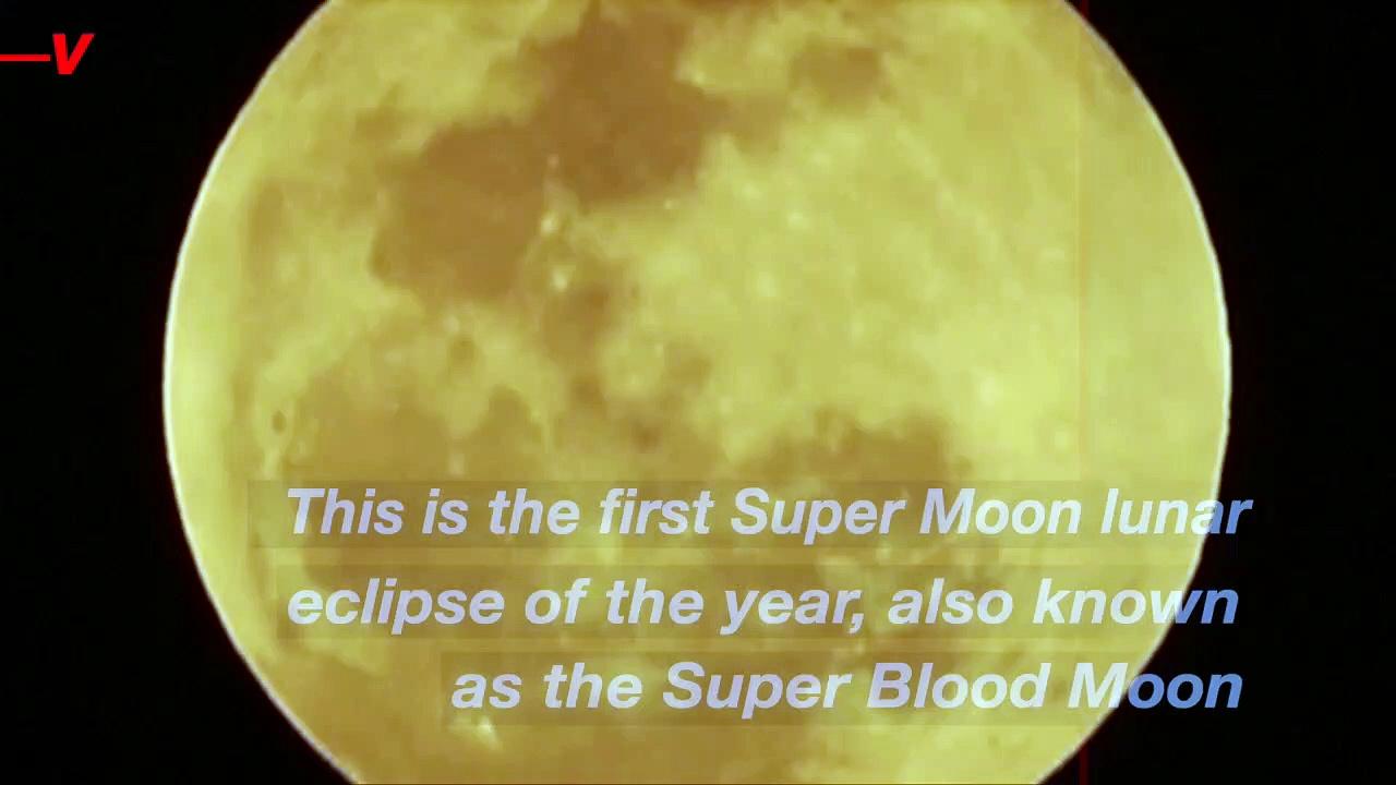 Miss the Eclipse? Here’s Video of the Epic Super Blood Moon From All Over South America