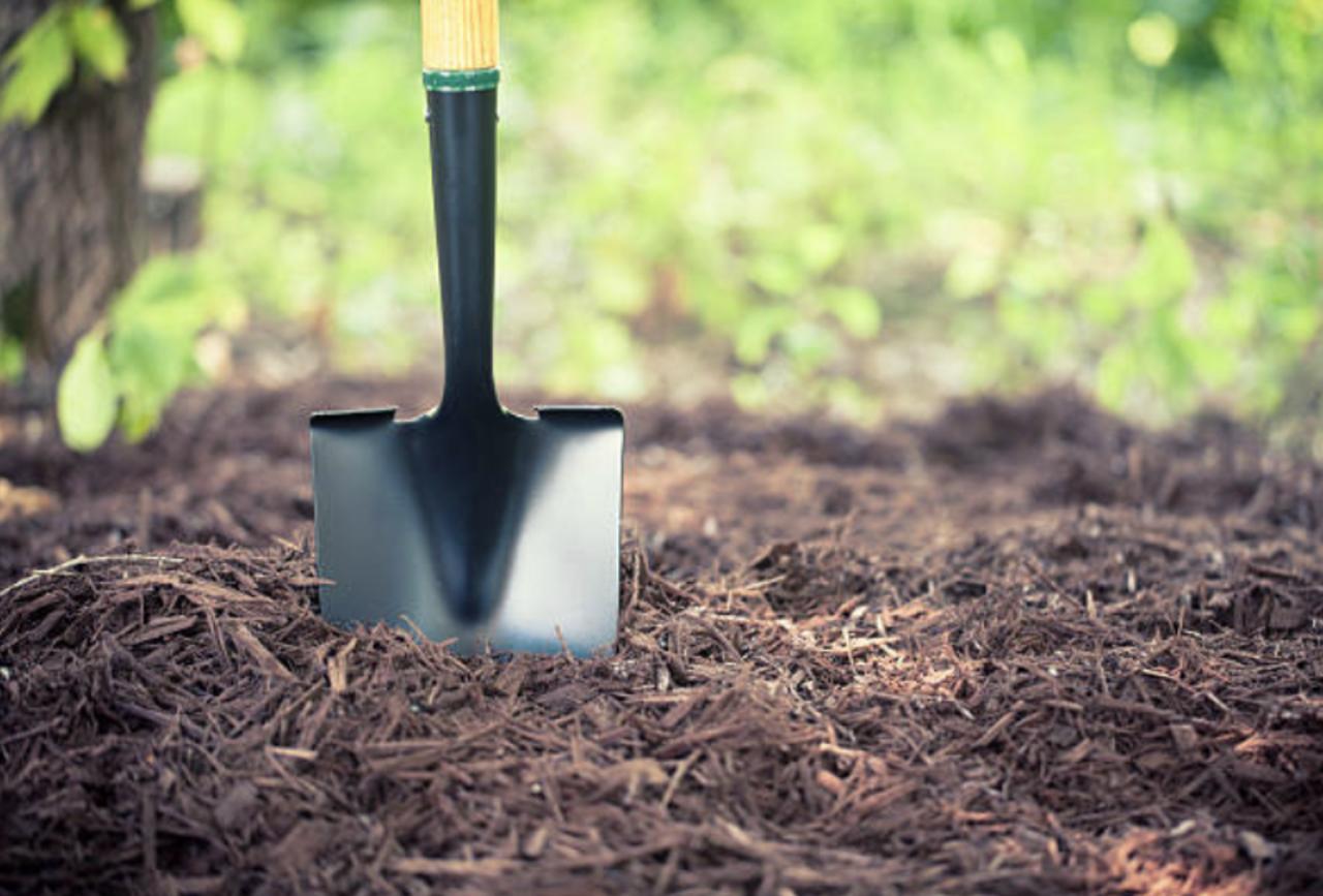 Mulching Tips For Your Gardening Hobby