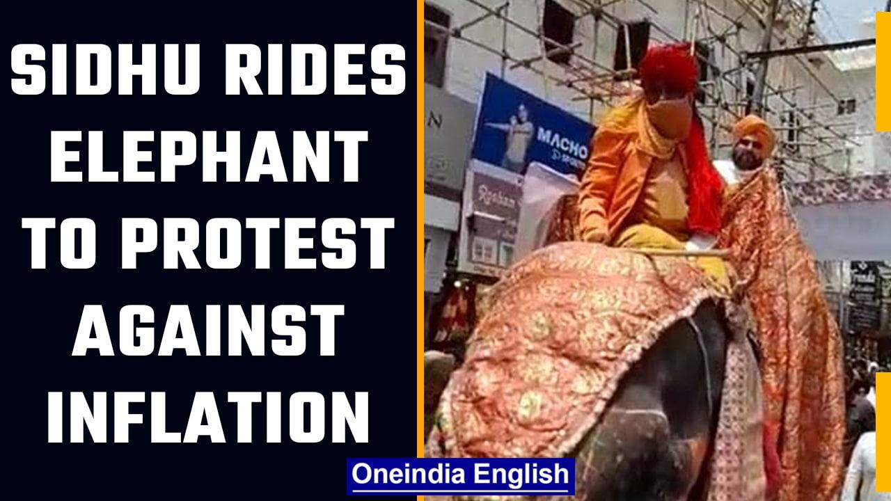 Navjot Singh Sidhu rides an elephant in order to protest over inflation in Patiala | OneIndia News