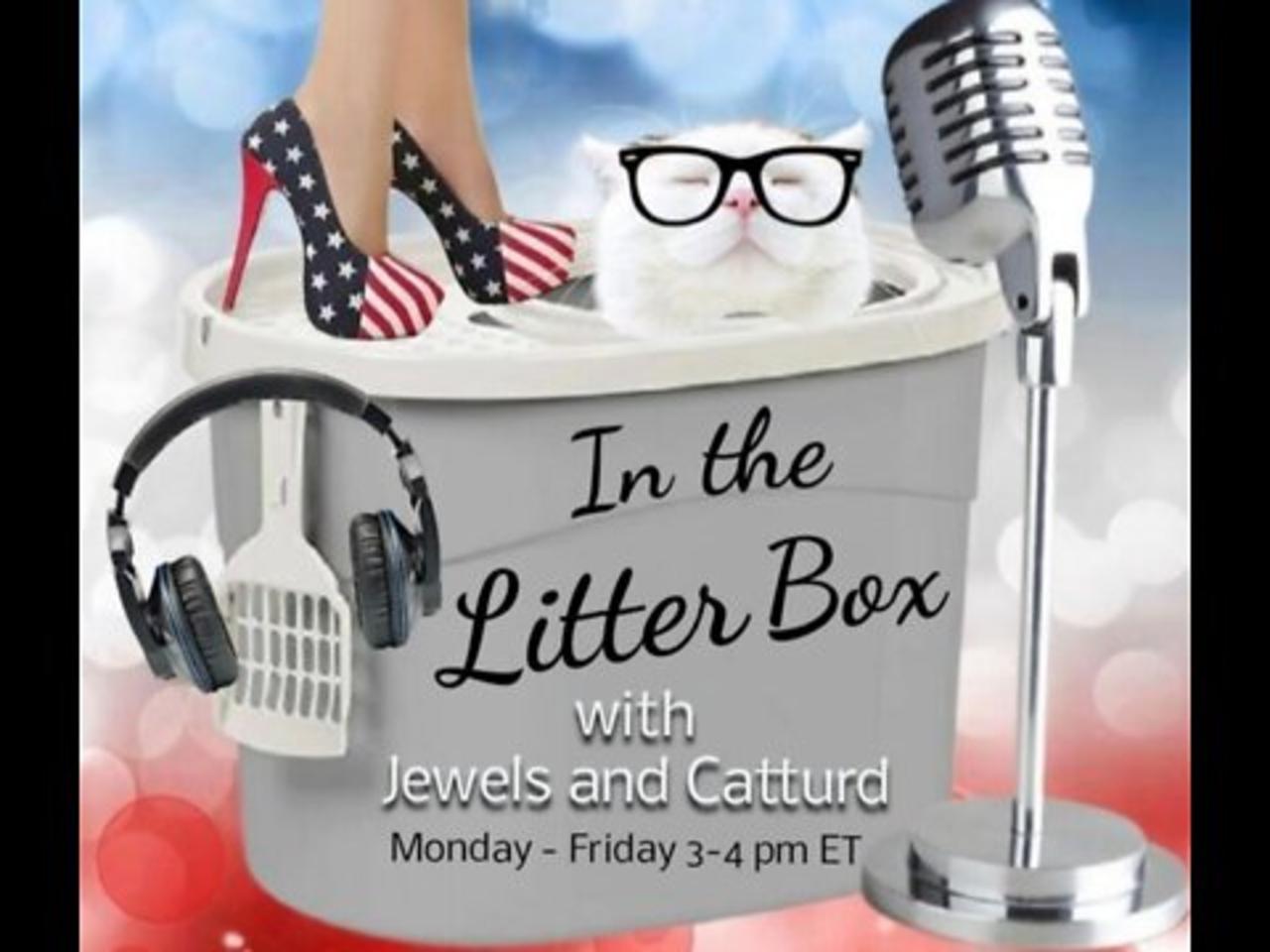 SupercaliFRAGIListicexpialidocious - In the Litter Box w/ Jewels & Catturd 5/19/2022 - Ep. 87