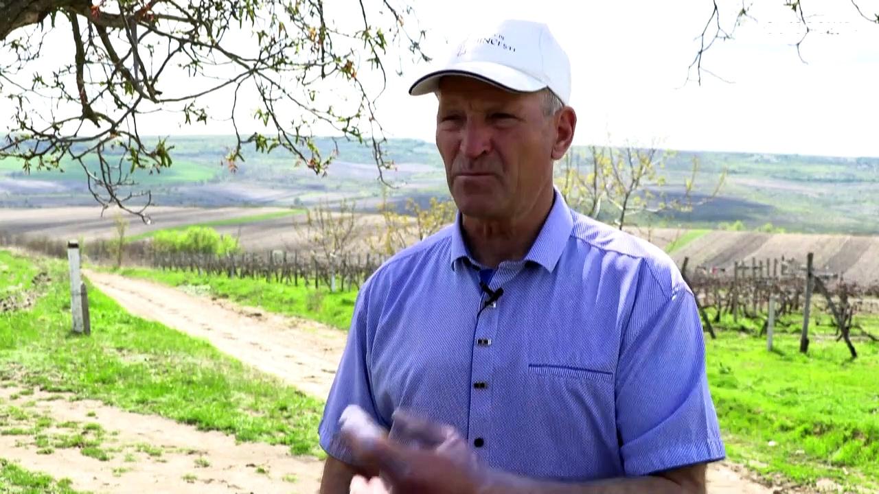 Moldovan winemakers look to EU after sales to Russia and Ukraine decline