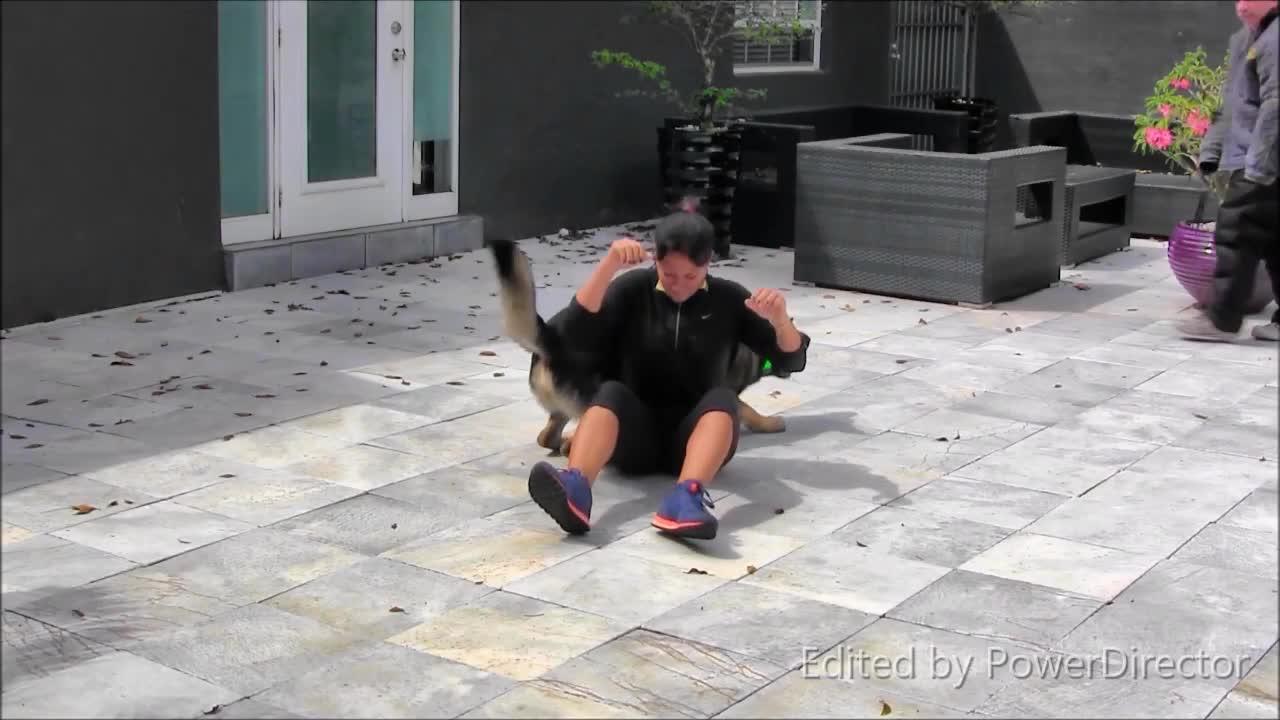 Train your guard dog step by step